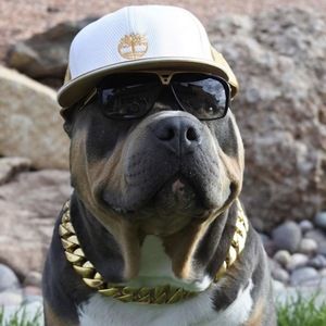 Meet your Posher, Shane